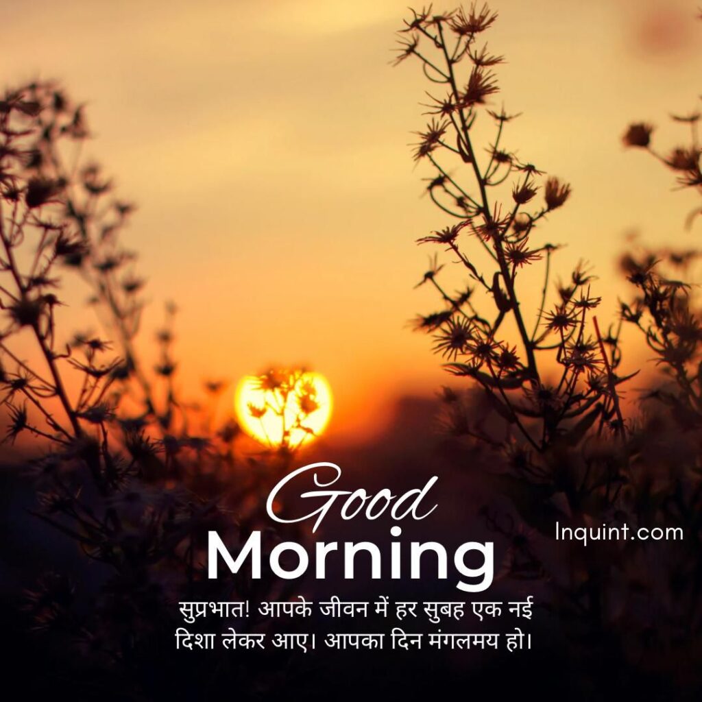 Top Good Morning Quotes In Hindi । गुड मॉर्निंग कोट्स हिंदी में